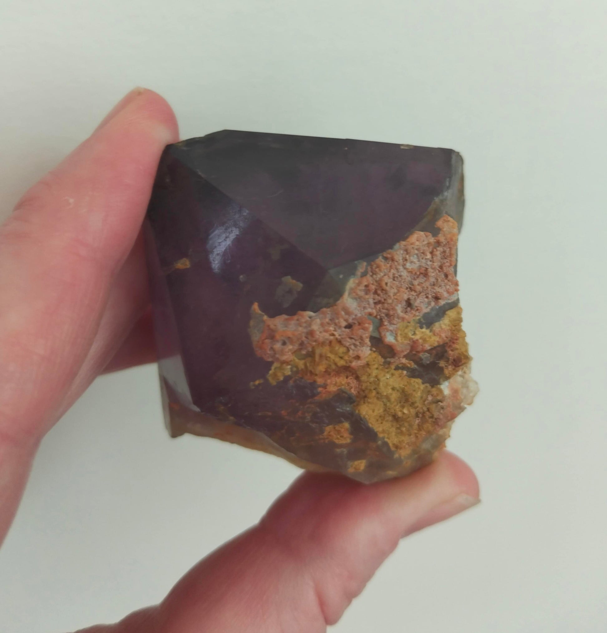 Sourced from the historic 'The Great Australian Amethyst Mine,' these hand-dug amethyst points carry a legacy dating back to the 1960s. Their rarity lies not only in the iconic location but also in the exceptional quality that is seldom found in our country. The crystals, adorned with inclusions and zoning of smoky quartz and amethyst, showcase the unique geological processes at play. Unearthed from this distinctive Australian mine, each amethyst point holds a piece of history and inherent beauty.