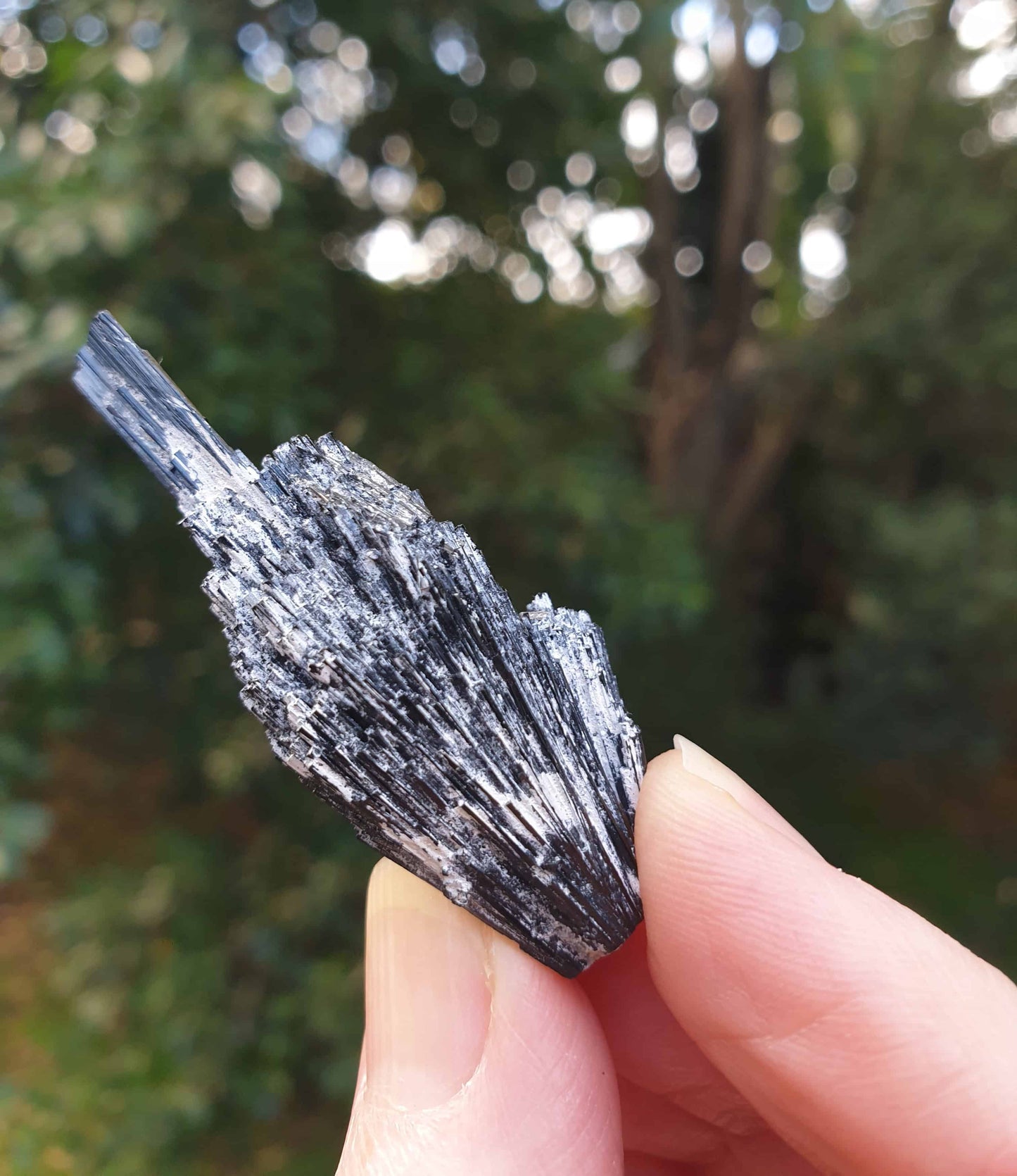 Fibrous Black Tourmaline (witches broom)