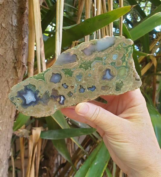 Rainforest Jasper Half Polished Rough Rock