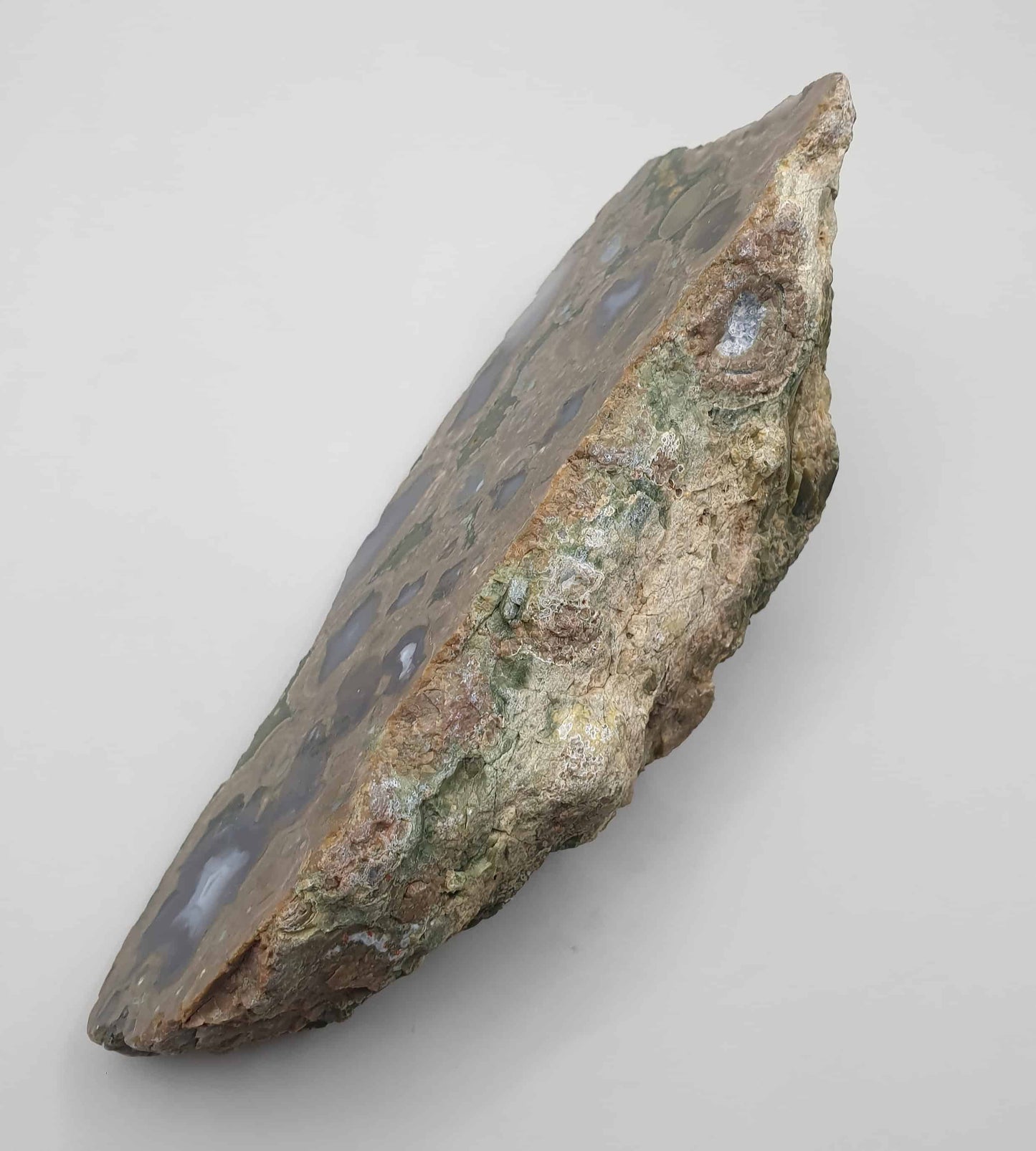 Rainforest Jasper Half Polished Rough Rock