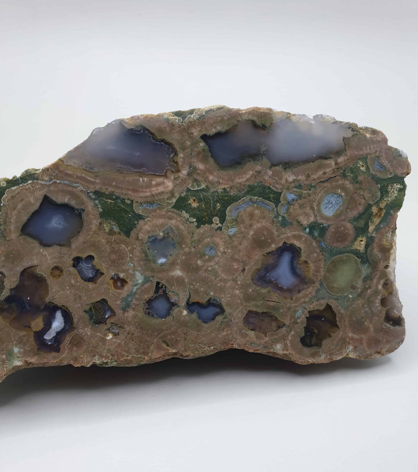 Rainforest Jasper Half Polished Rough Rock