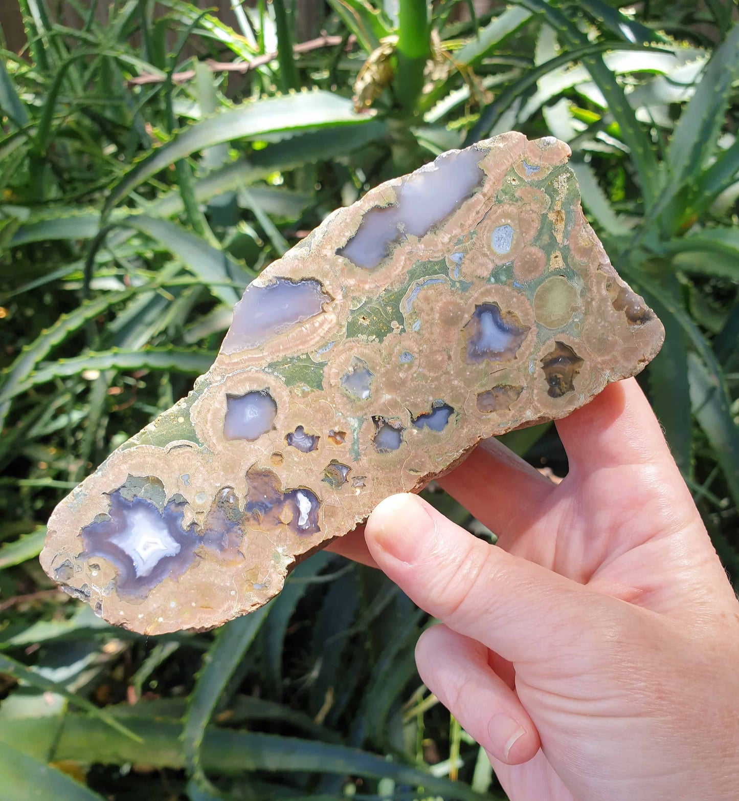 Rainforest Jasper Half Polished Rough Rock