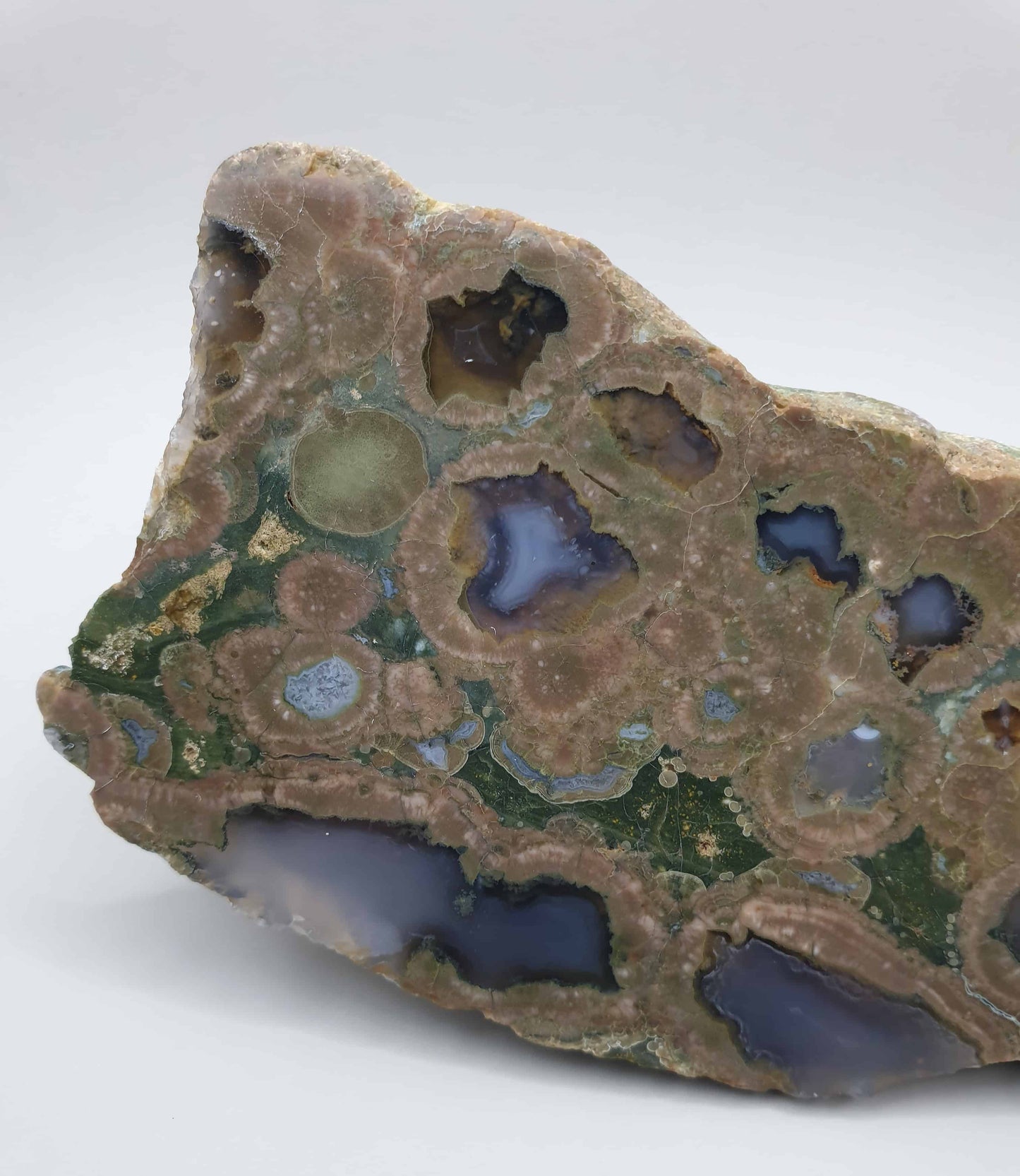 Rainforest Jasper Half Polished Rough Rock